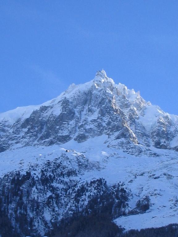 La Grange De L'Aiguille Διαμέρισμα Σαμονί Εξωτερικό φωτογραφία